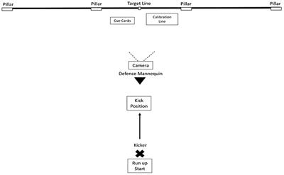 Temporal samples of visual information guides skilled interception